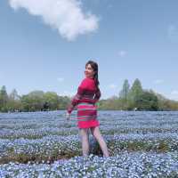 広島県　世羅　花夢の里