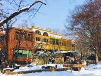 《首爾》冬季戀歌的拍攝地 唯美雪景南怡島 