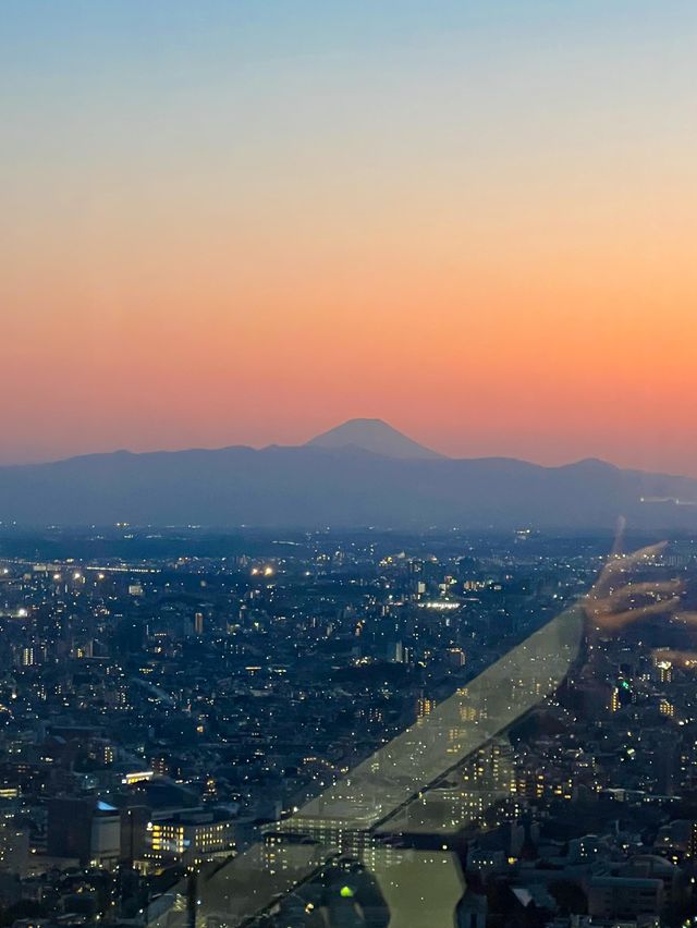 도심을 한눈에 볼 수 있는 도쿄 시부야전망대🧡