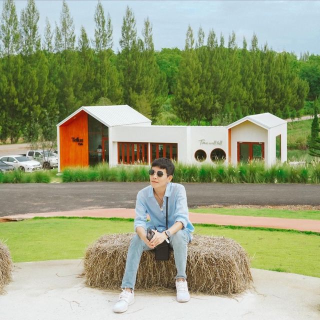 Tellus Cafe Khaoyai วิวป่าสนต่างประเทศ
