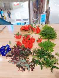 荃灣｜如心廣場｜夏日打卡好去處