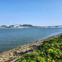 을숙도 생태공원 피크니 광장 추천드립니다.