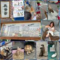 台灣宜蘭。親子農場玩樂
