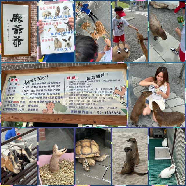 台灣宜蘭。親子農場玩樂