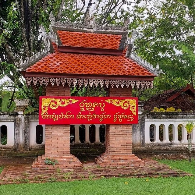 ชมภาพจิตรกรรมฝาผนัง ณ วัดหนองบัว ไทยลื้อ น่าน