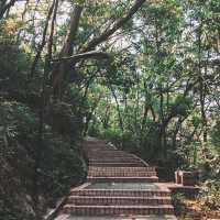 遊廣州📍輕鬆行白雲山登山徑