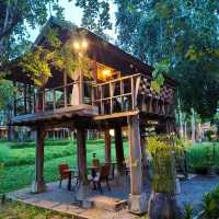 Veranda High Resort Chiang Mai สวยร่มรื่น