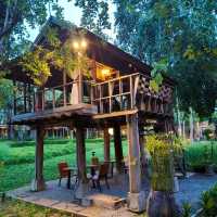 Veranda High Resort Chiang Mai สวยร่มรื่น