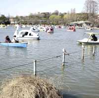 Ueno Park