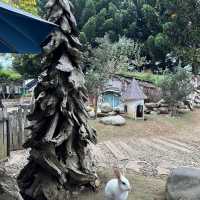 Dutch atmosphere farm house Lembang