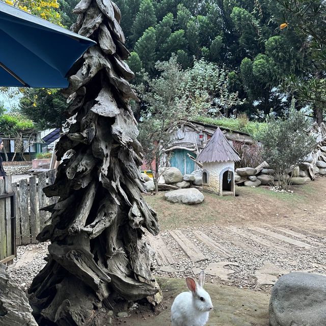 Dutch atmosphere farm house Lembang