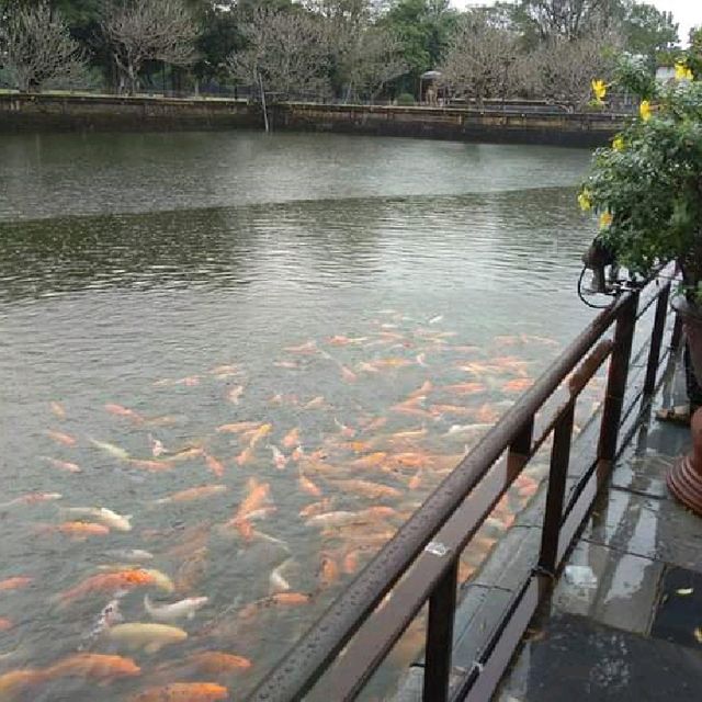 Vietnam Imperial City Hue