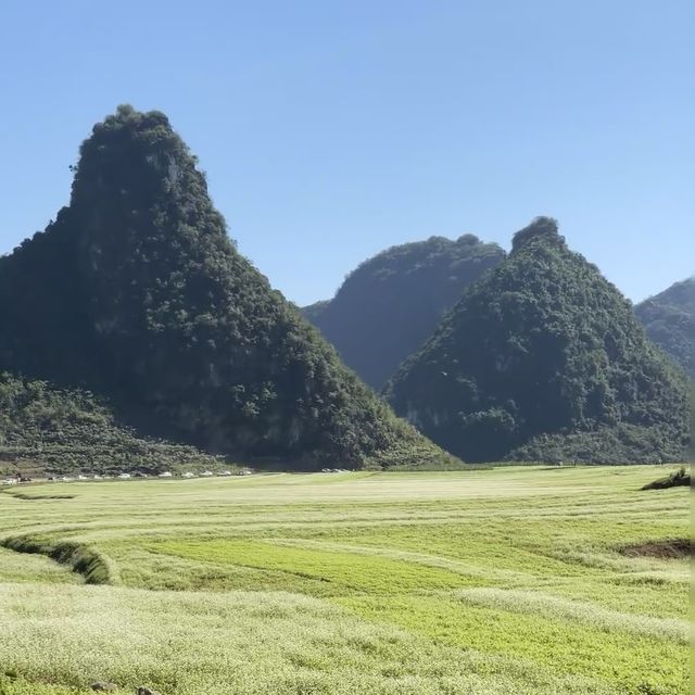 蘇家圍•東江畫廊旅遊景區 🖌️🏞️彩虹世界🌈🎨