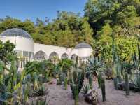 深圳仙湖植物園