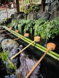 【京都府/貴船神社】清らかな水のある神社