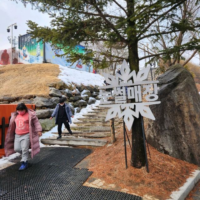 지산리조트. 서울근교.스키장