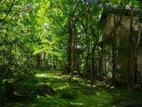 【京都市】静を感じて心洗う庭園🌿