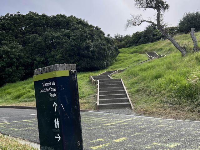 紐西蘭奧克蘭最高火山｜Mount Eden伊甸山，眺望奧克蘭市景最佳地點