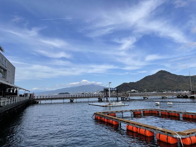 富士山の絶景が見える！あわしまマリンパーク