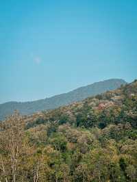 Mushroom farm @ บ้านหัวน้ำ(ปัว)