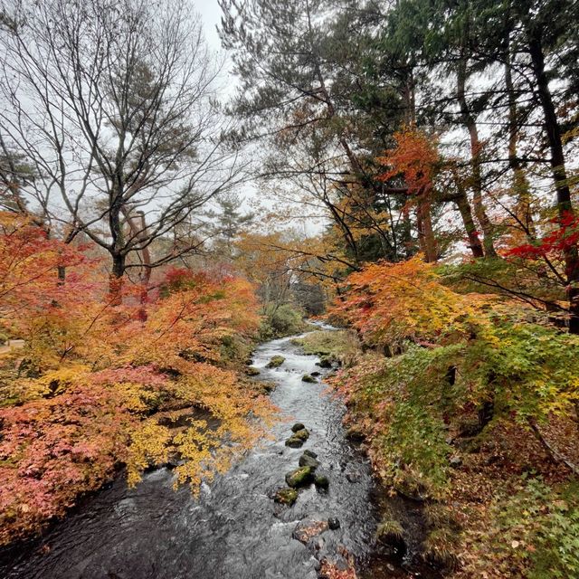 富士山高質溫泉旅館🗻日式庭園「鐘山苑」