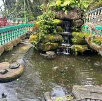 Tranquility & Calmness @ Chin Swee Temple