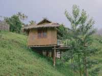 บ้านสวนดอยเปียงปุย  ดอยสกาด จ.น่าน