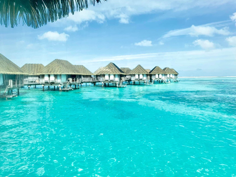 Maldives 🏝️🚤