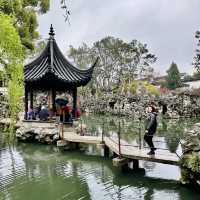 Roaring Beauty: Exploring Lion Grove Garden