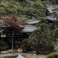 打卡國內隱世秘境佛寺.雲門寺