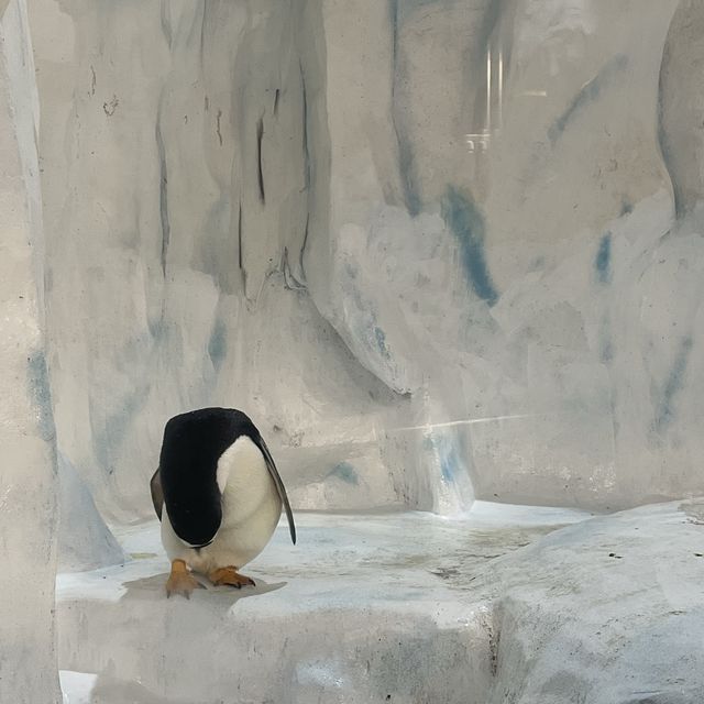 海洋公園：南極奇觀