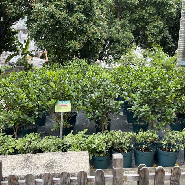 Luís de Camões Plant Nursery