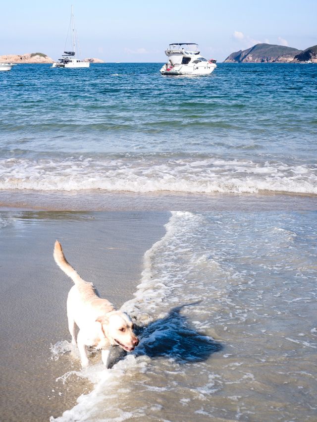 香港 | 夏日海灘🏖 水清沙幼的港版馬兒代夫