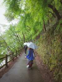 Arashiyama Bamboo Grove & Togetsu-kyo Bridge