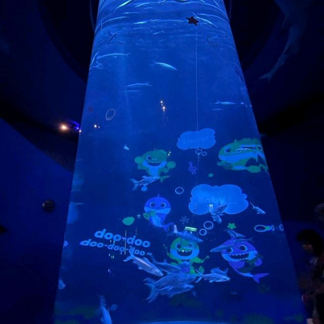 Ocean Park summer holiday