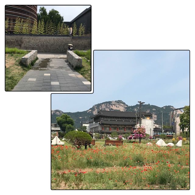 最新打卡景點📸❣️三清洞松峴綠地