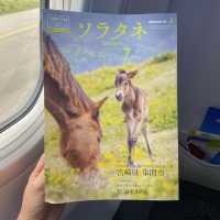 神戸空港発ソラシドエア搭乗記