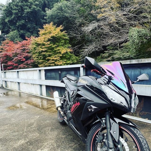 香嵐渓