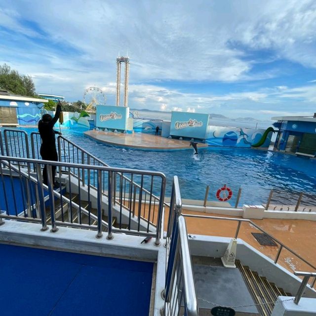 summer Ocean Park