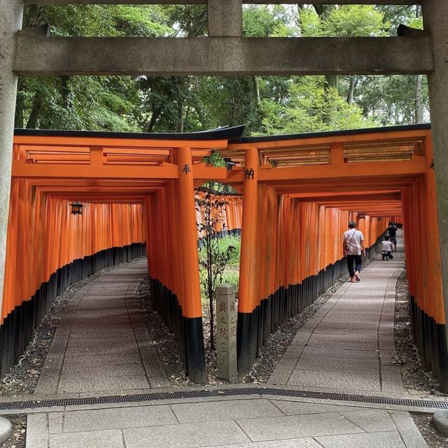 京都 1度は訪れたいオススメSPOT！