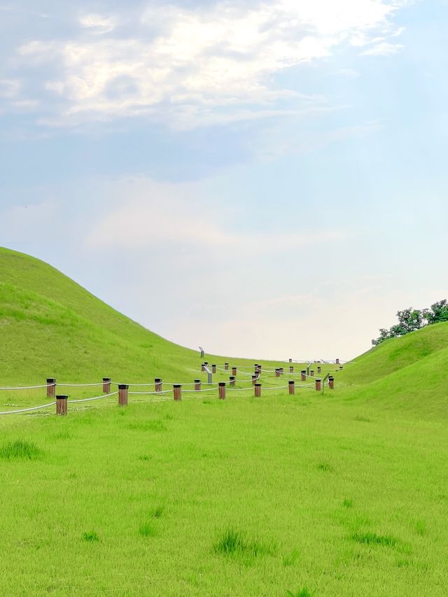 드넓은 초록빛, 창녕 교동 고분군🌿