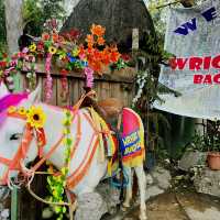 Horse riding in Baguio