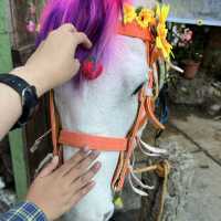 Horse riding in Baguio