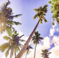 White Beach in Dalaguete!