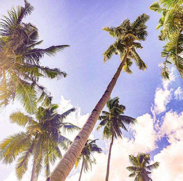 White Beach in Dalaguete!