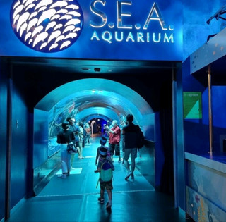 Something Fishy About SG Sea Aquarium 