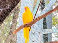 Wonderful placs for nature bird enthusiast