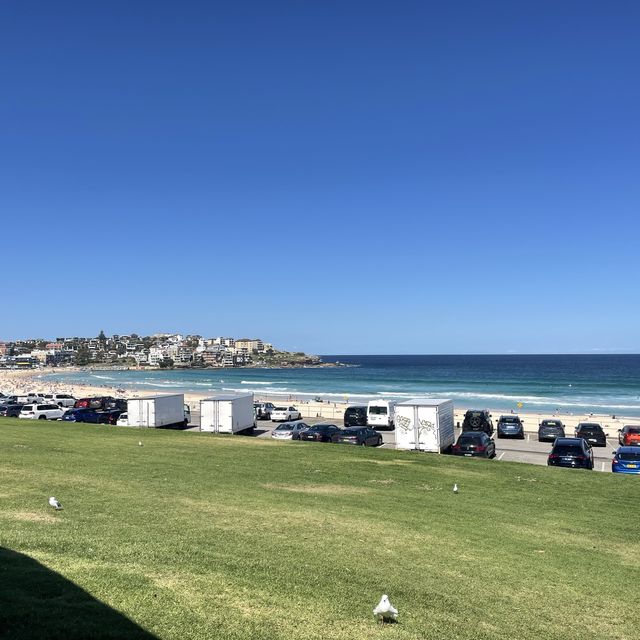 Bondi Beach , Sydney🇦🇺🌊