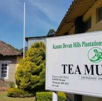 Must Visit Place in Munnar 