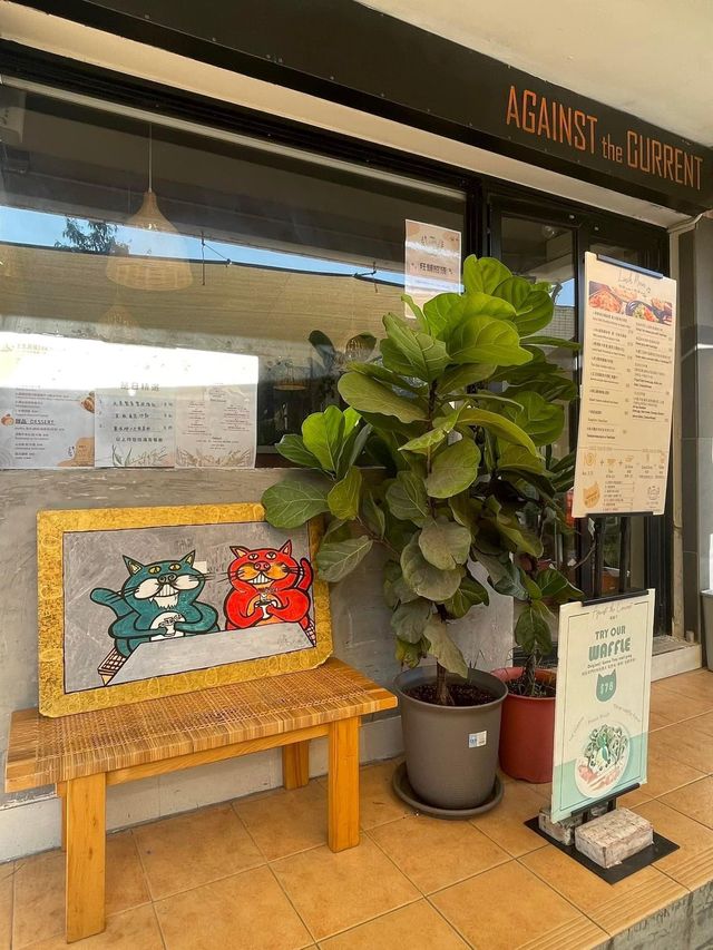 小島之旅❤️長洲一日遊‼️美食打卡路線推薦
